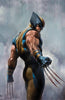 WOLVERINE #3 COVER BY ADI GRANOV - Lakeside Comics